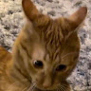 Meet your Posher, Marshall